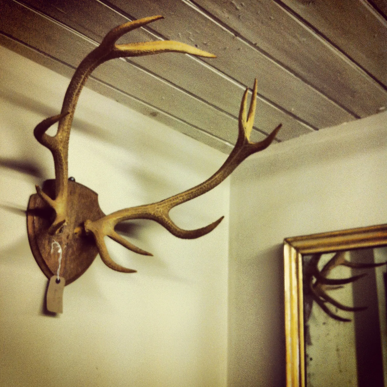 Antlers